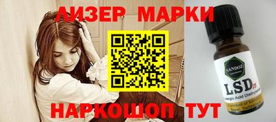 сатива Будённовск