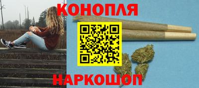 сатива Будённовск