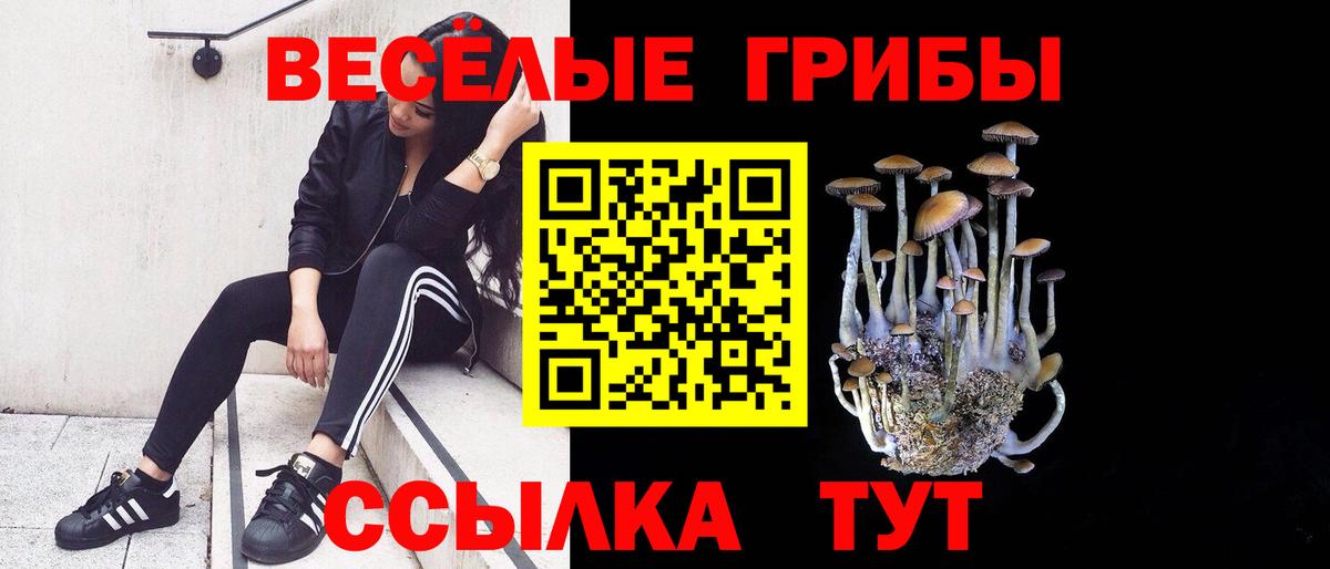 Галлюциногенные грибы Psilocybe  Вход с VPN  что такое наркотик  Заинск 